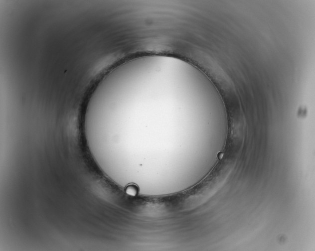 X0000103950256200809191448