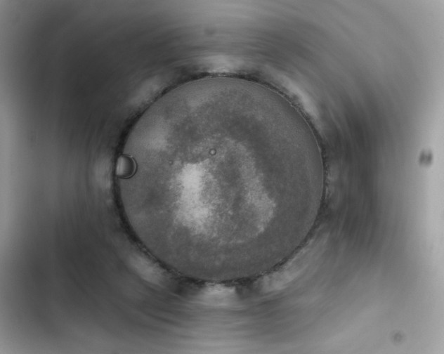 X0000103950257200809191448