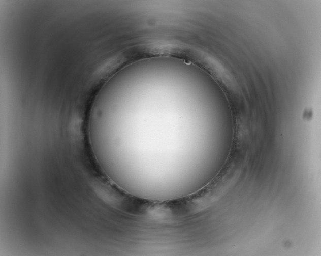 X0000103950258200809191448