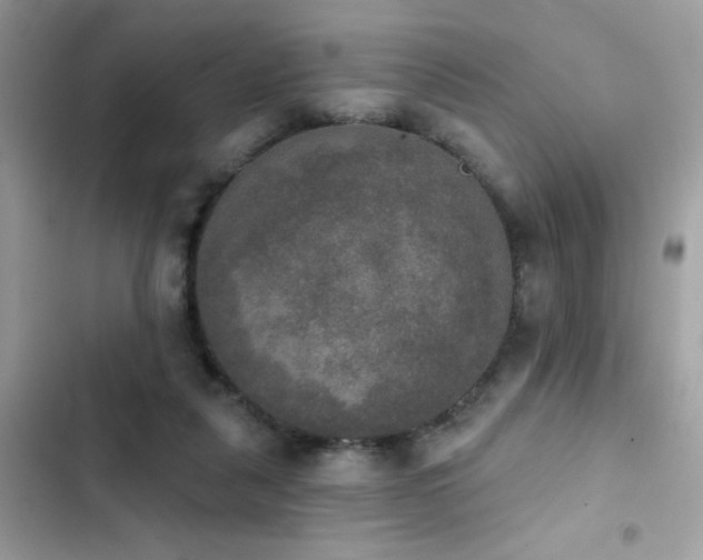 X0000103950259200809191448