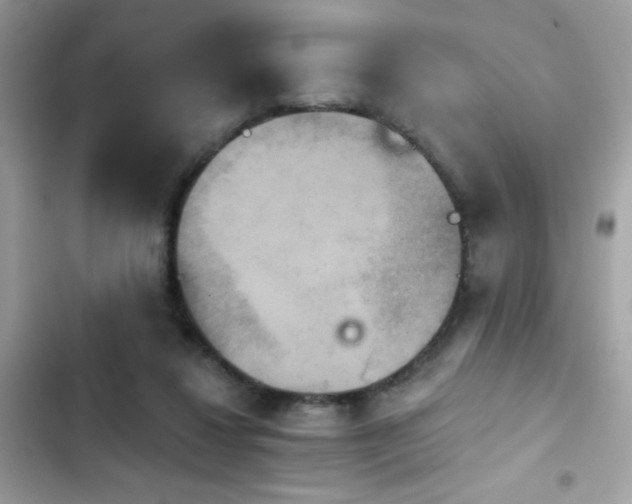 X0000103950260200809191448