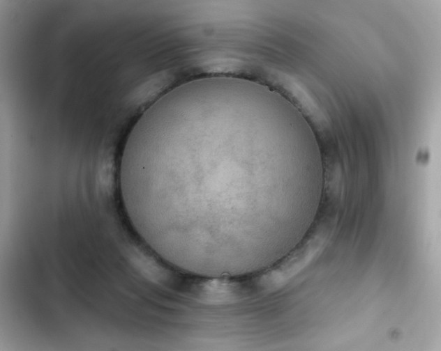 X0000103950261200809191448