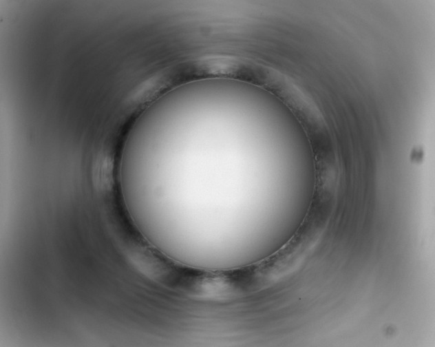 X0000103950262200809191448
