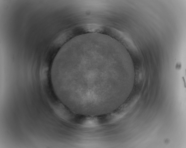 X0000103950263200809191448