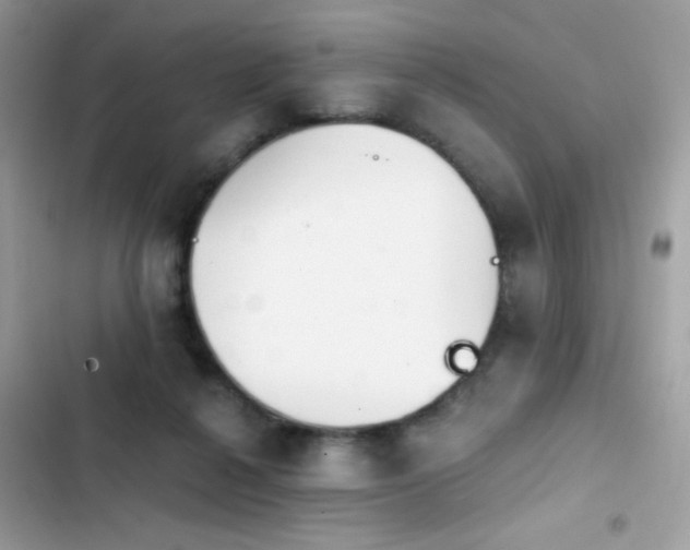 X0000103950264200809191448