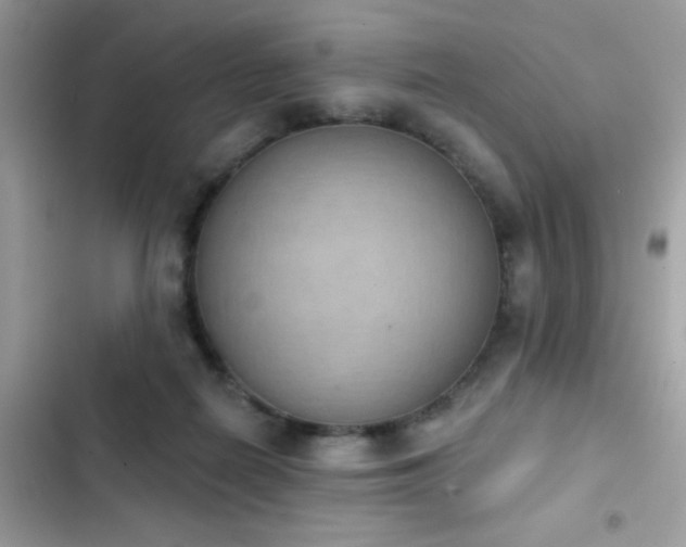 X0000103950266200809191448