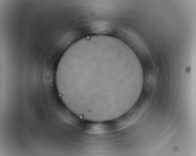 X0000103950268200809191448