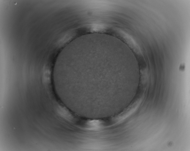 X0000103950269200809191448