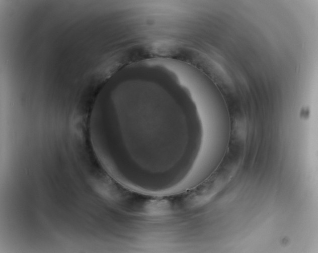 X0000103950271200809191448