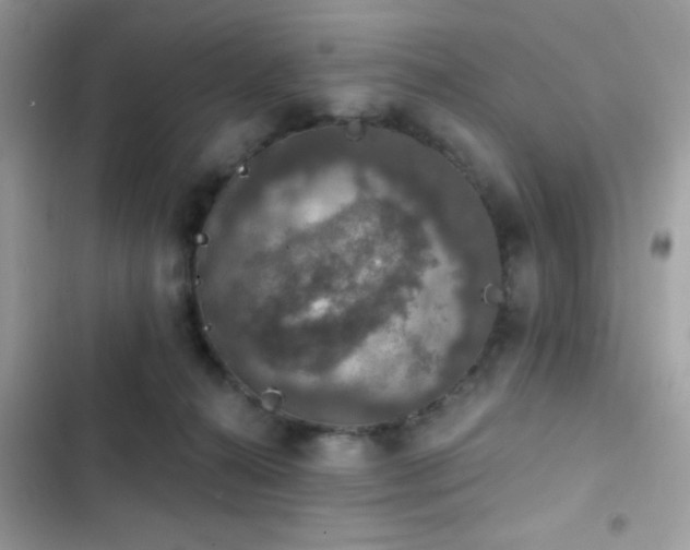 X0000103950272200809191448