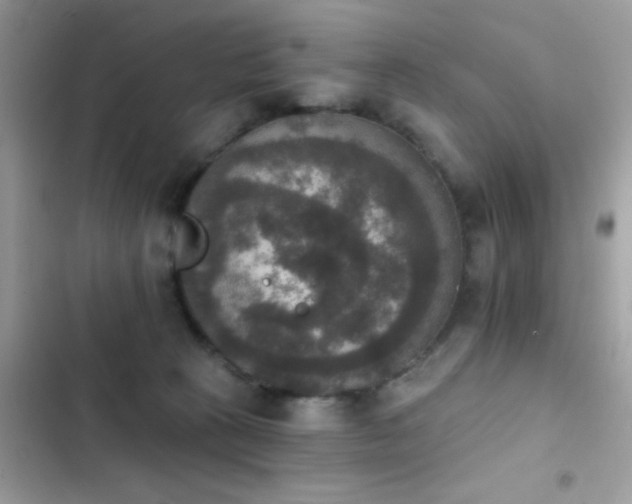 X0000103950273200809191448