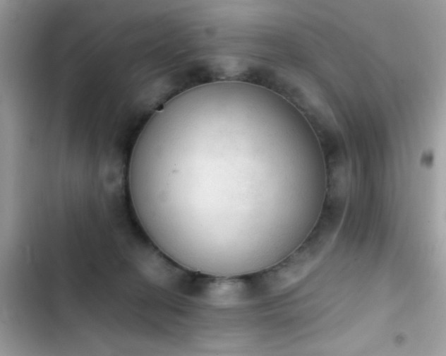 X0000103950274200809191448