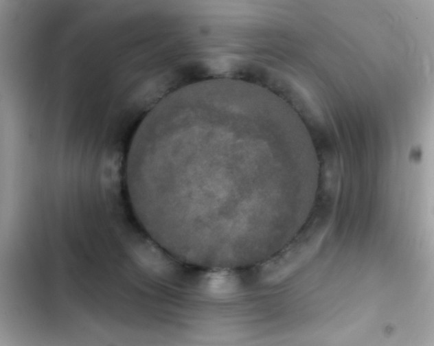 X0000103950275200809191448
