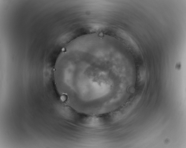 X0000103950276200809191448