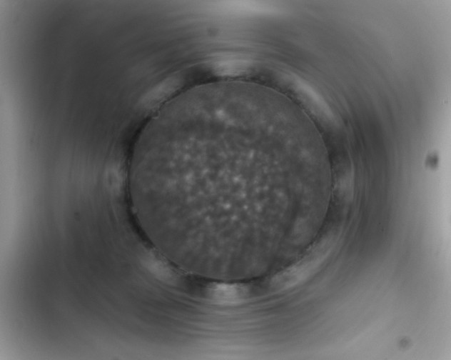 X0000103950277200809191448