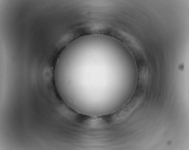 X0000103950278200809191448
