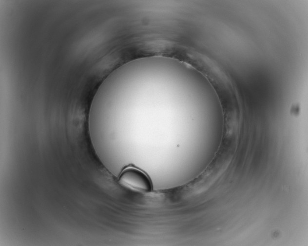 X0000103950279200809191448