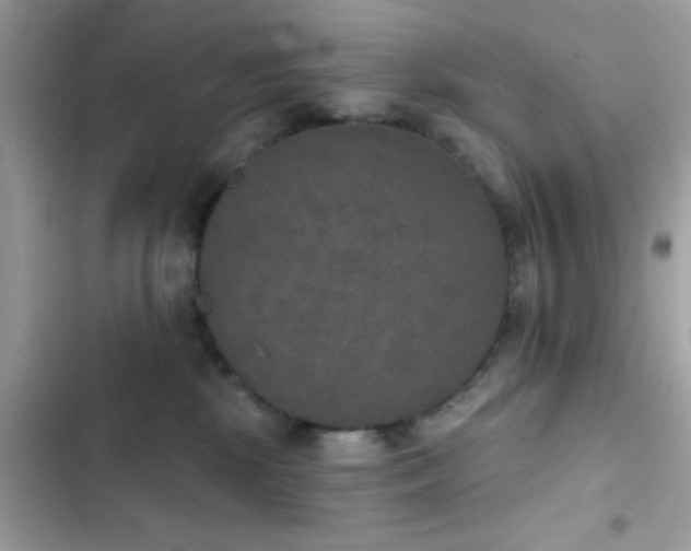 X0000103950281200809191448
