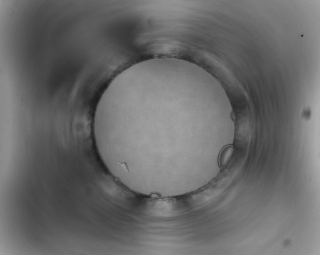 X0000103950282200809191448