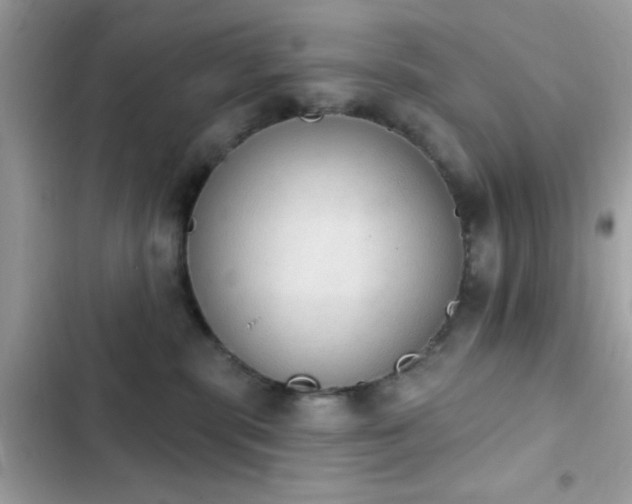 X0000103950283200809191448