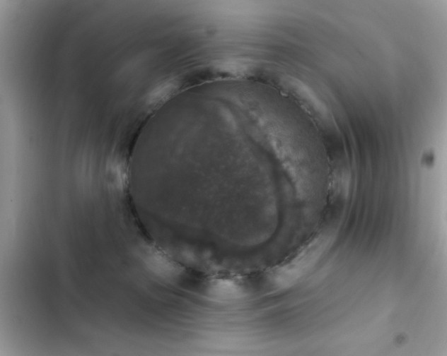 X0000103950285200809191448