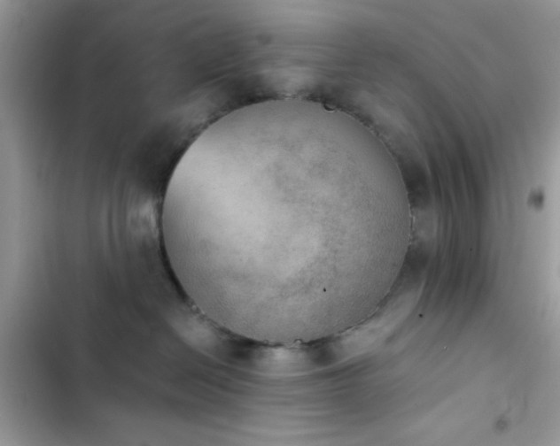 X0000103950286200809191448