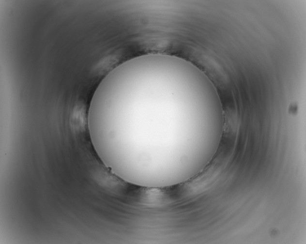 X0000103950287200809191448