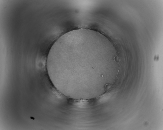 X0000103950288200809191448