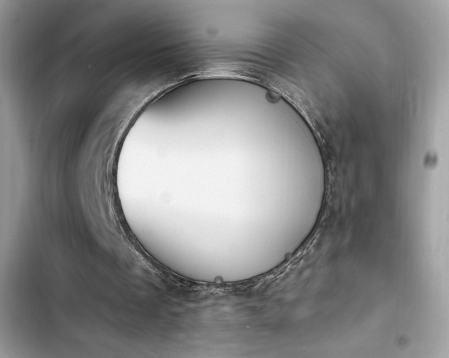 X0000103950289200809191447