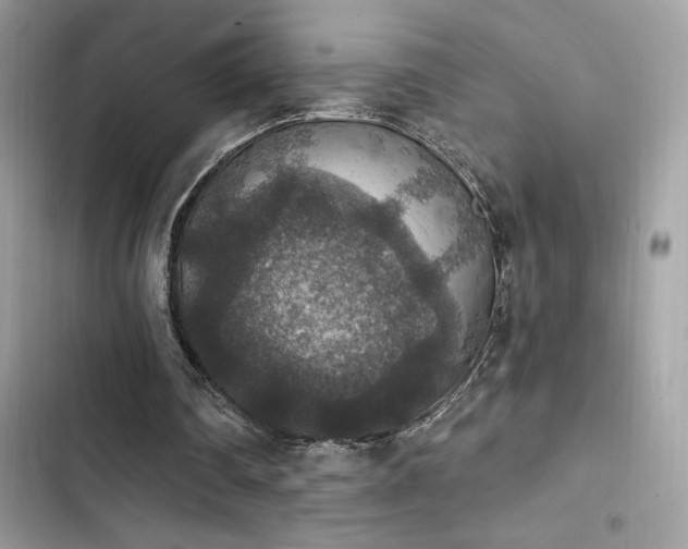 X0000103950290200809191447