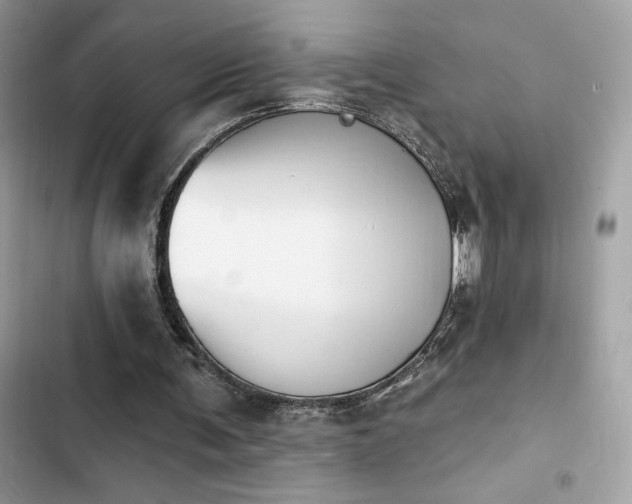 X0000103950291200809191447