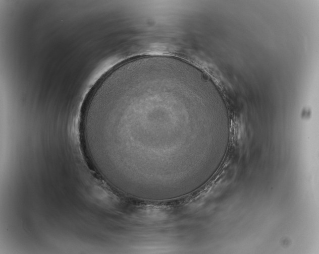 X0000103950292200809191447