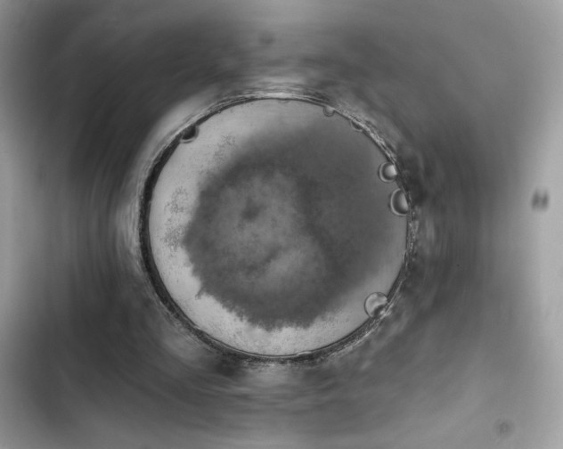 X0000103950293200809191447