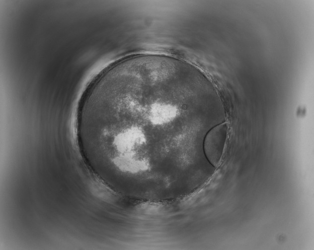 X0000103950294200809191447