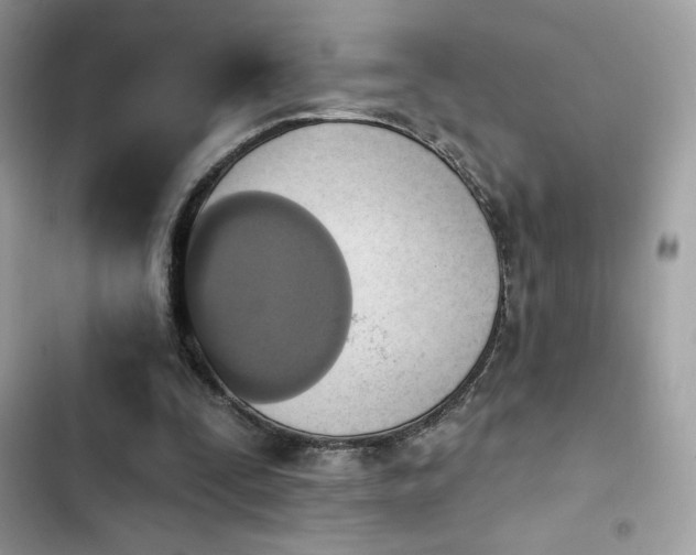 X0000103950295200809191447