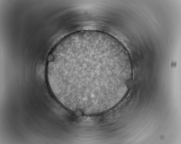 X0000103950297200809191447