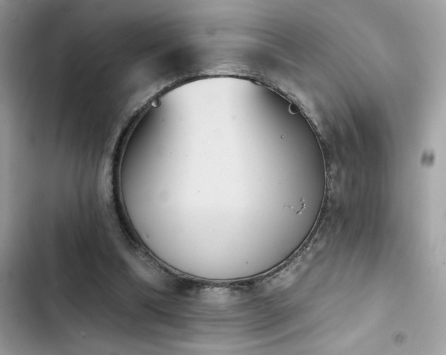 X0000103950298200809191447