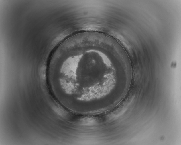 X0000103950299200809191447