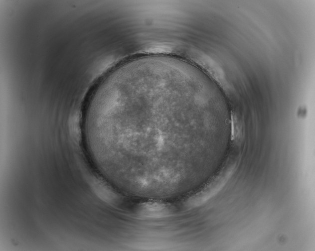 X0000103950300200809191447