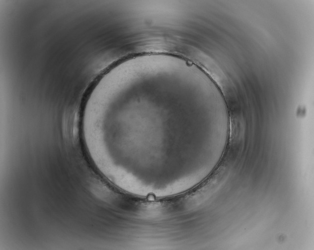 X0000103950301200809191447