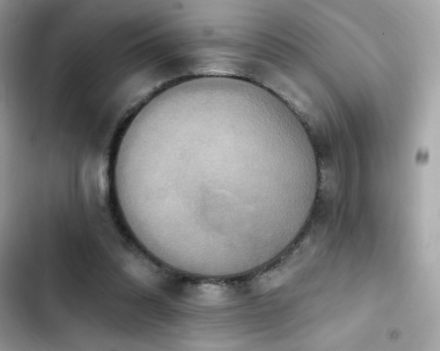 X0000103950302200809191447
