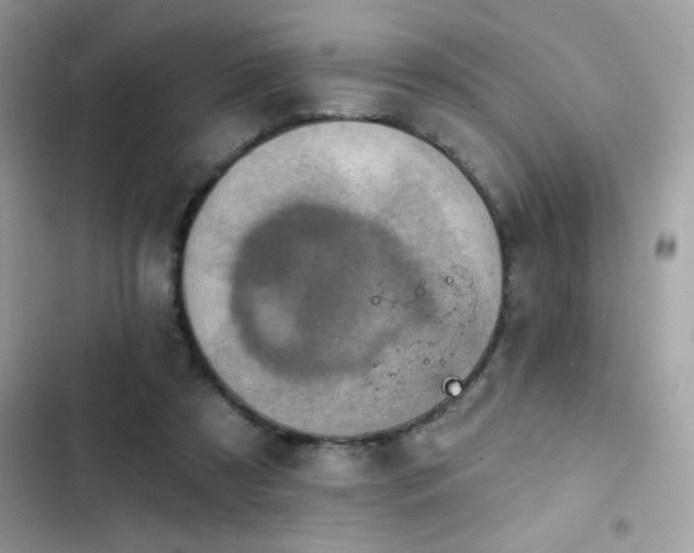 X0000103950305200809191447