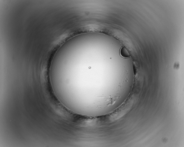 X0000103950306200809191447