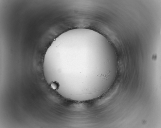 X0000103950307200809191447