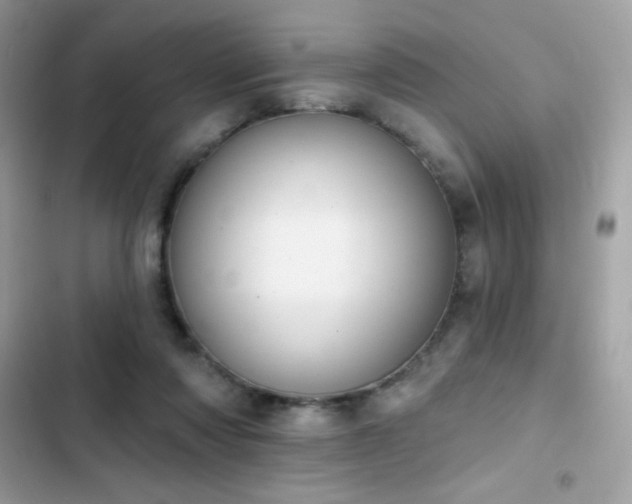 X0000103950310200809191447