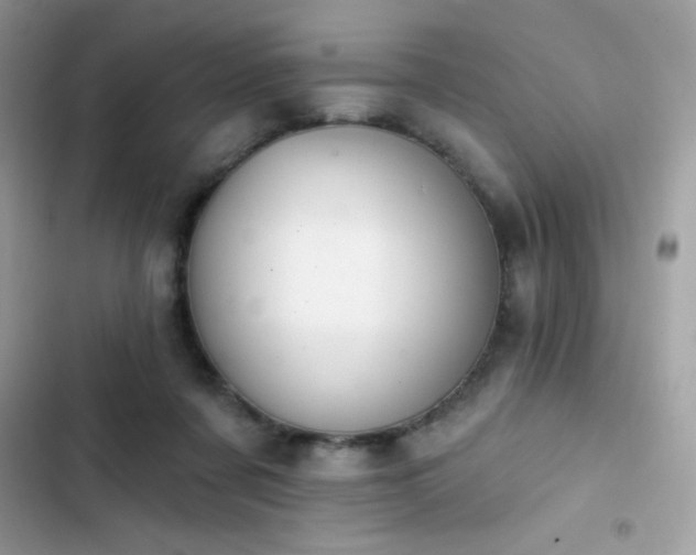 X0000103950311200809191447