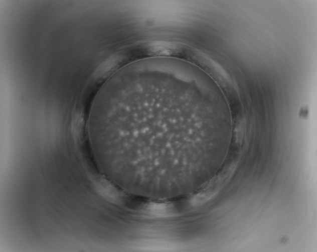 X0000103950314200809191447