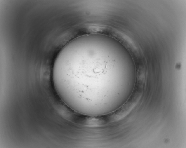 X0000103950315200809191447