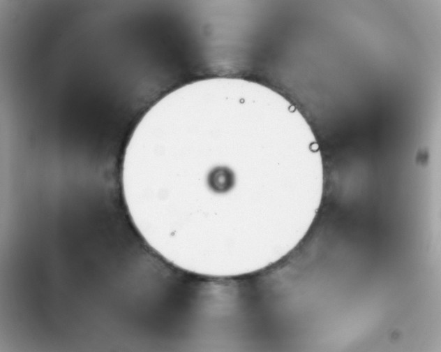 X0000103950317200809191447