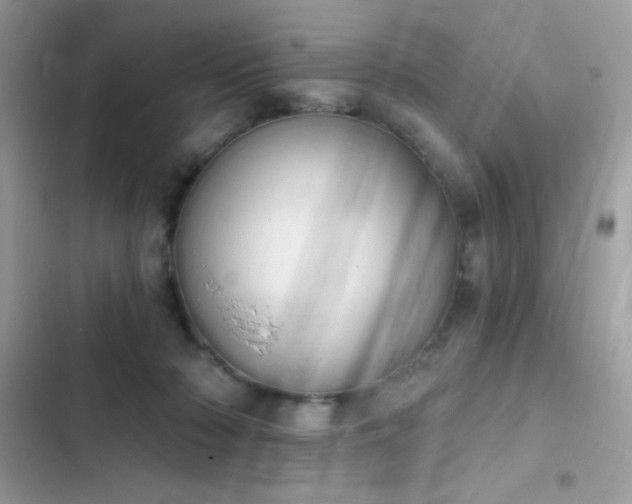 X0000103950318200809191447